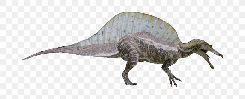 Tyrannosaurus Spinosaurus Kaprosuchus Pachyrhinosaurus Dinosaur Size, PNG, 1323x538px, Tyrannosaurus, Animal Figure, Balaur, Baryonyx, Beak Download Free