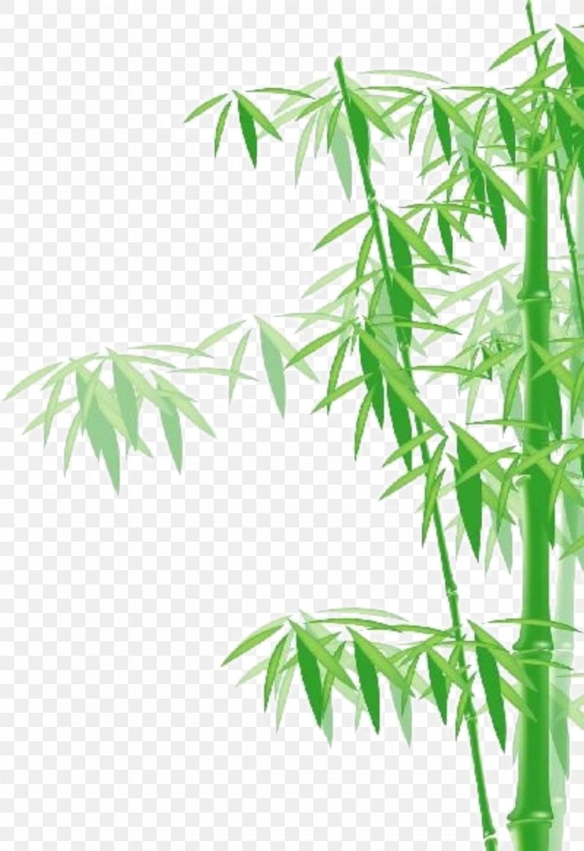 Bamboo Clip Art, PNG, 1645x2396px, Bamboo, Branch, Grass, Green, Hemp Download Free