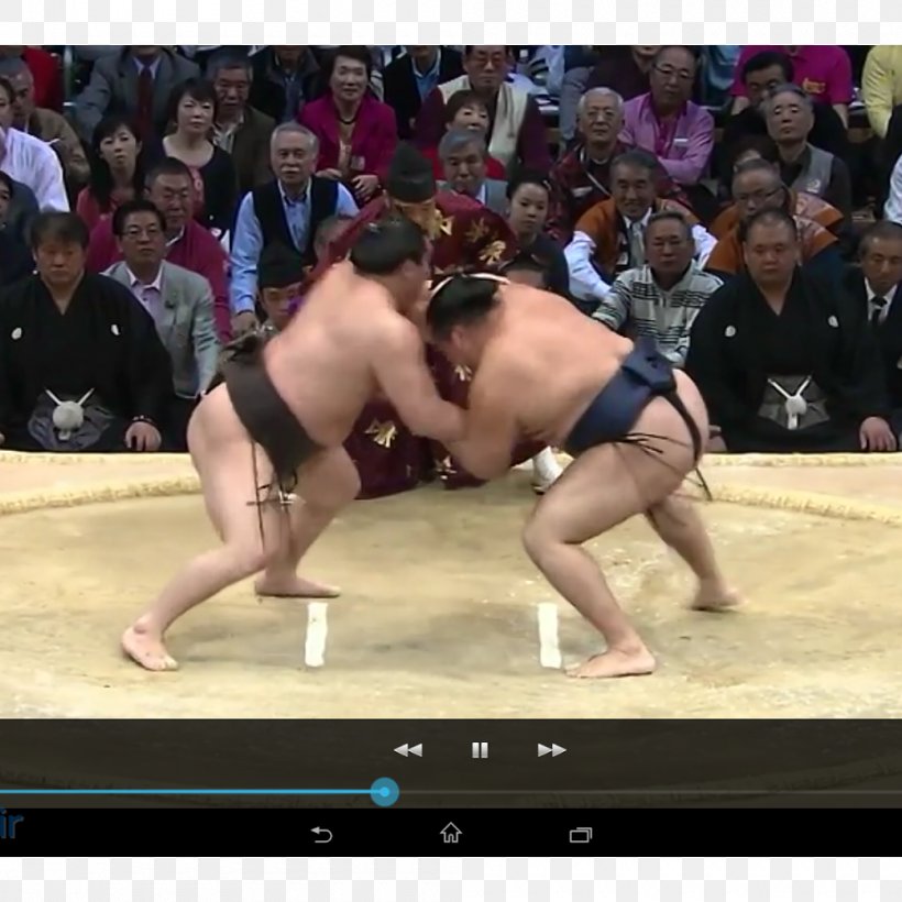 Combat Sport Wrestling Sumo Grappling, PNG, 1000x1000px, Sport, Arm, Combat, Combat Sport, Competition Download Free
