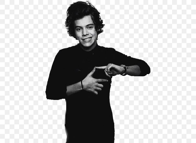 Harry Styles One Direction Photo Shoot Photography, PNG, 447x598px, Watercolor, Cartoon, Flower, Frame, Heart Download Free