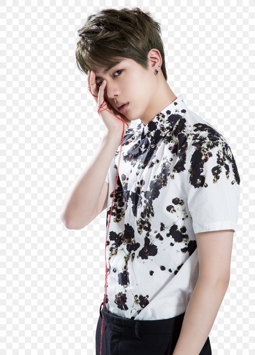 Jin BTS Best Of Me The Most Beautiful Moment In Life, Part 1 Korean Idol, PNG, 1000x1390px, Jin, Best Of Me, Blouse, Bts, Butterfly Download Free