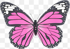 Monarch Butterfly PNG