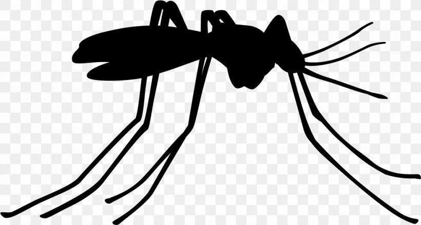 Mosquito Control Insect Pest Control Vector, PNG, 981x526px, Mosquito, Artwork, Black, Black And White, Face Download Free