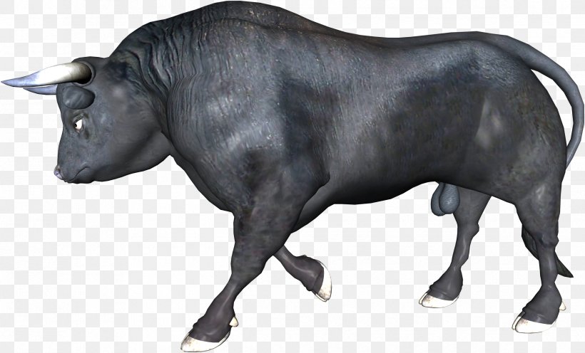 Zebu Ox Bull Water Buffalo, PNG, 2395x1451px, Zebu, Animal, Bull, Cattle, Cattle Like Mammal Download Free