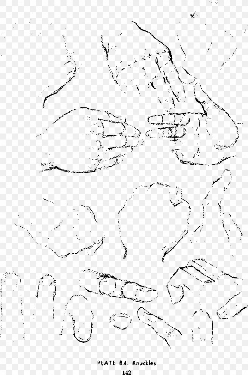 Drawing The Head And Hands Sketch, PNG, 1490x2247px, Drawing The Head And Hands, Andrew Loomis, Area, Art, Artwork Download Free