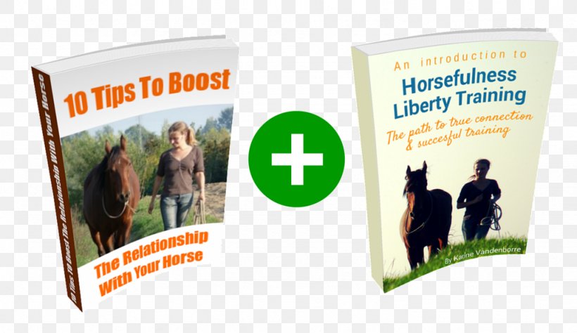Horse Training The Art Of Liberty Training For Horses: Attain New Levels Of Leadership, Unity, Feel, Engagement, And Purpose In All That You Do With Your Horse Rein Equestrian, PNG, 1024x592px, Horse, Advertising, Amazoncom, Banner, Bitless Bridle Download Free