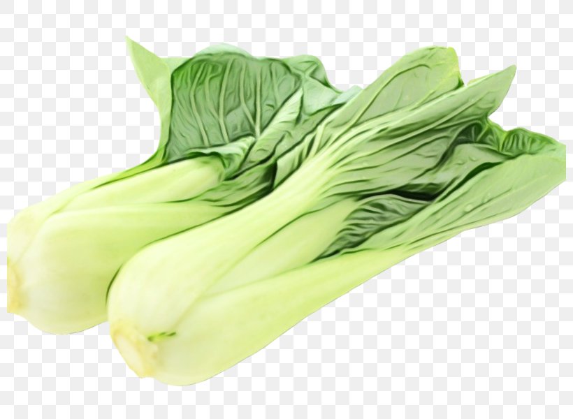 Vegetable Food Leaf Vegetable Plant Chinese Cabbage, PNG, 800x600px, Watercolor, Chinese Cabbage, Choy Sum, Cruciferous Vegetables, Food Download Free