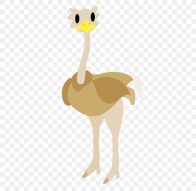 Common Ostrich Giraffe Chicken Illustration Bird, PNG, 800x800px, Common Ostrich, Animal, Beak, Bear, Bird Download Free