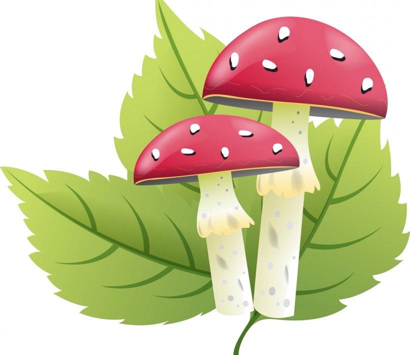 Mushroom Clip Art, PNG, 1070x927px, Mushroom, Amanita, Edible Mushroom, Food, Fruit Download Free