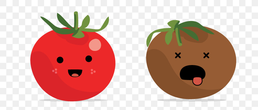 Tomato, PNG, 750x350px, Tomato, Food, Fruit, Nightshade Family, Plant Download Free