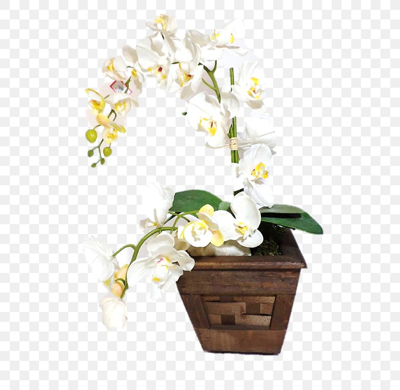 Vase Flowerpot Orchids Cut Flowers, PNG, 600x800px, Vase, Artificial Flower, Blossom, Branch, Ceramic Download Free