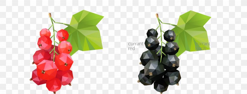 Zante Currant Grape Geometric Shape, PNG, 3584x1375px, Zante Currant, Auglis, Berry, Food, Fruit Download Free