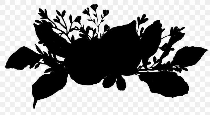 Black & White, PNG, 1024x564px, Black White M, Black M, Blackandwhite, Botany, Branch Download Free