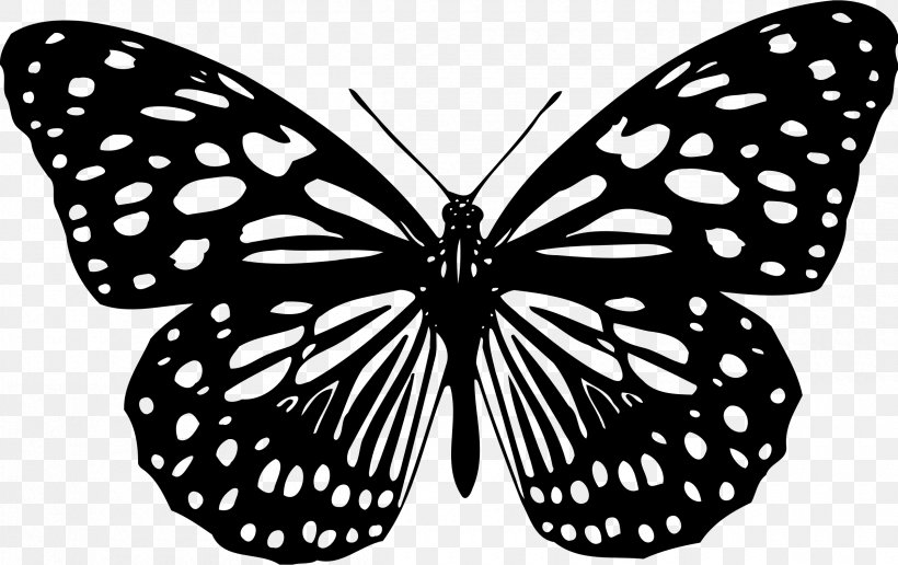 Butterfly Animation Clip Art, PNG, 2400x1512px, Butterfly, Animation,  Arthropod, Birdwing, Black And White Download Free