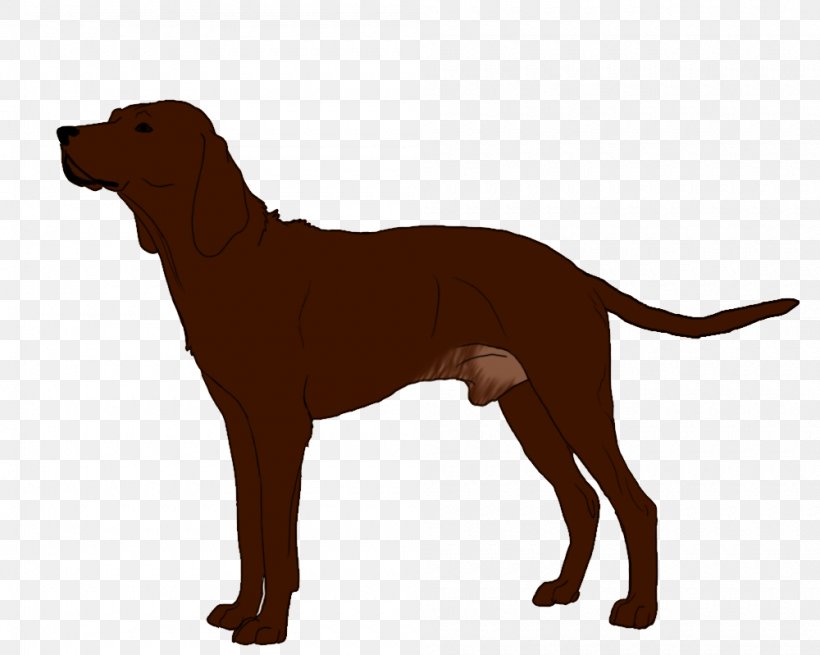 Redbone Coonhound Labrador Retriever Dog Breed Puppy Black And Tan Coonhound, PNG, 1000x799px, Redbone Coonhound, American Kennel Club, Black And Tan Coonhound, Bloodhound, Bluetick Coonhound Download Free