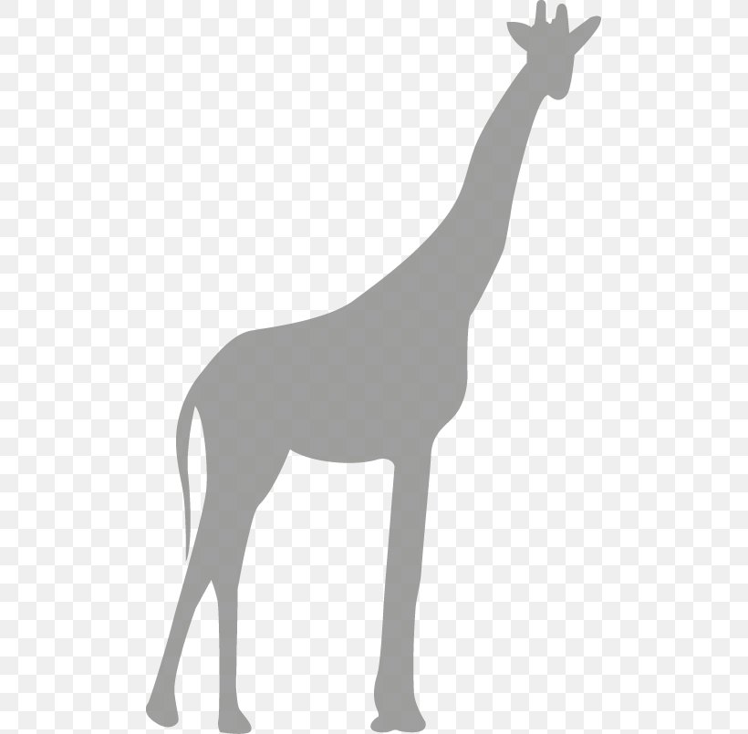 Northern Giraffe Gratis Download Computer File, PNG, 499x805px, Northern Giraffe, Animal, Black And White, Computer Font, Deer Download Free