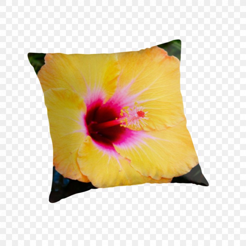 Rosemallows Cushion Throw Pillows, PNG, 875x875px, Rosemallows, Cushion, Flower, Flowering Plant, Hibiscus Download Free