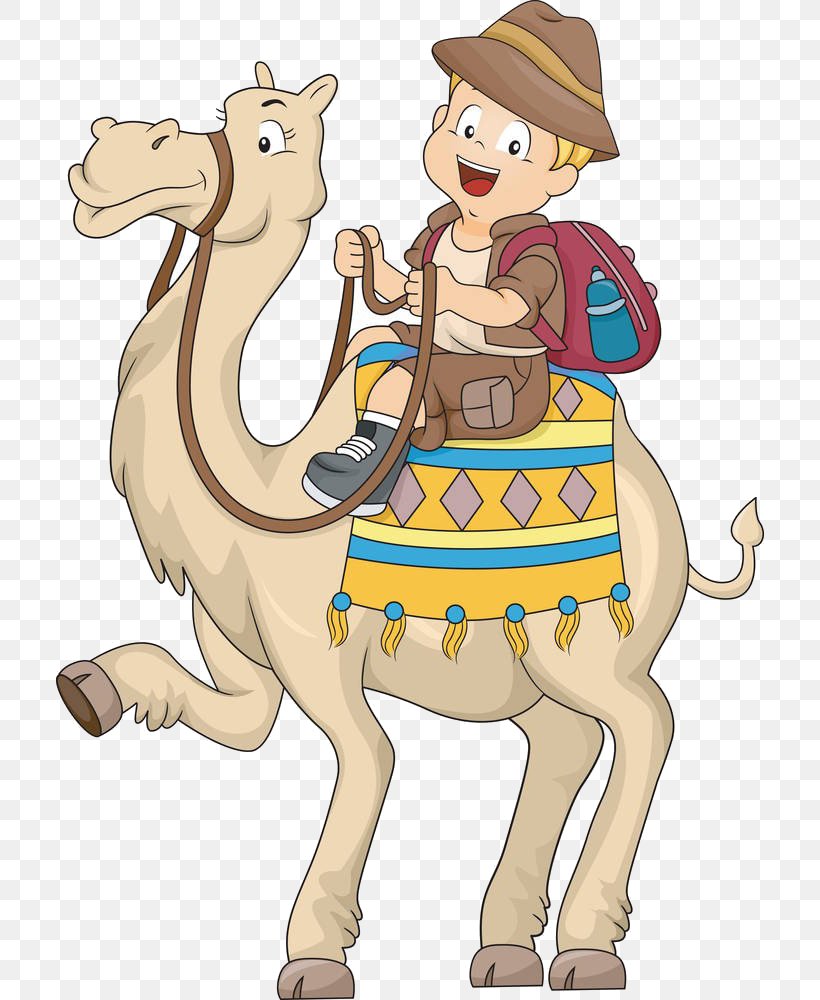 Bactrian Camel Cartoon Royalty-free Clip Art, PNG, 708x1000px, Bactrian Camel, Arabian Camel, Art, Camel, Camel Like Mammal Download Free