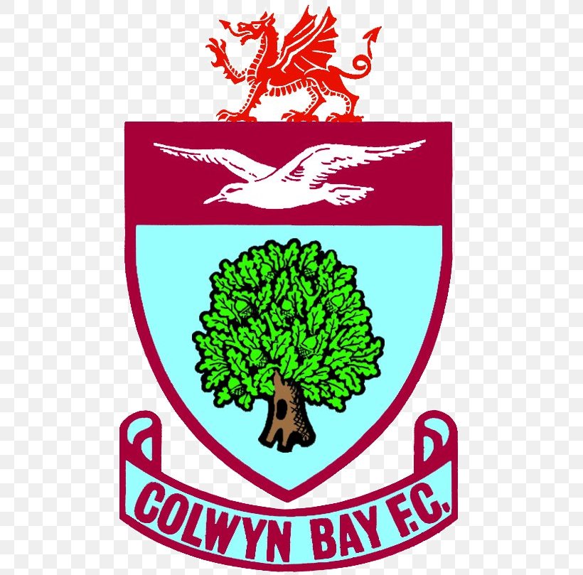 Colwyn Bay F.C. Northern Premier League Colwyn Bay Football Club Buxton F.C., PNG, 492x809px, Northern Premier League, Area, Artwork, Brand, Colwyn Bay Download Free