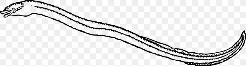 Moray Eel Electric Eel Clip Art, PNG, 2400x652px, Moray Eel, American Eel, Black And White, Body Jewelry, Chain Download Free