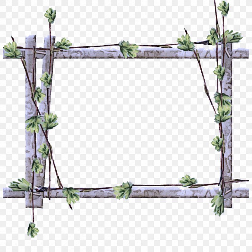 Picture Frame, PNG, 900x900px, Plant, Picture Frame, Rectangle Download Free