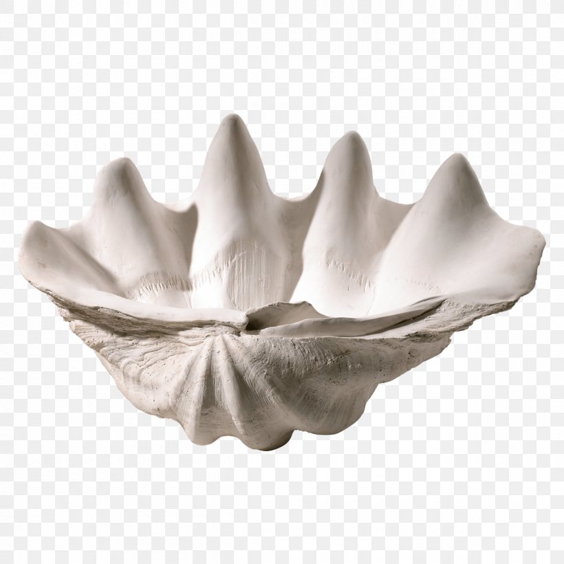 Bowl Table Clam Plate Seashell, PNG, 1200x1200px, Bowl, Bacina, Clam, Decorative Arts, Giant Clam Download Free