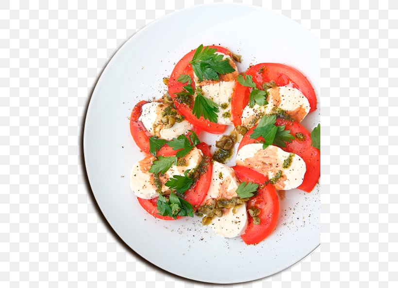 Greek Salad Caprese Salad Vegetarian Cuisine Panzanella Recipe, PNG, 501x594px, Greek Salad, Appetizer, Caprese Salad, Cheese, Cooking Download Free