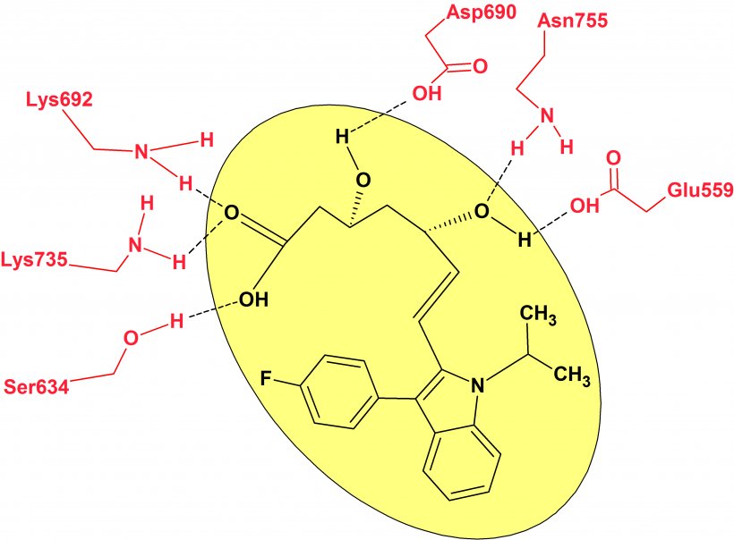 HMG-CoA Reductase Statin Reaction Inhibitor, PNG, 3677x2712px, Watercolor, Cartoon, Flower, Frame, Heart Download Free