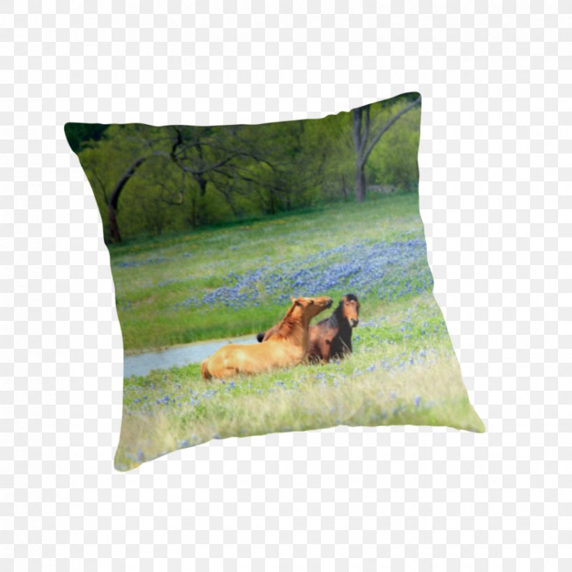 Throw Pillows Cushion, PNG, 875x875px, Throw Pillows, Cushion, Grass, Pillow, Throw Pillow Download Free