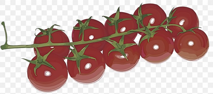 Tomato, PNG, 3000x1334px, Tomato, Cherry Tomatoes, Food, Fruit, Natural Foods Download Free