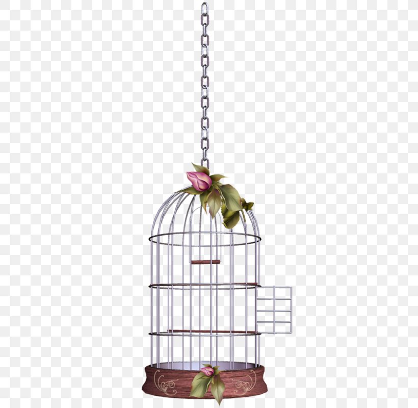 Birdcage Adobe Photoshop, PNG, 640x800px, Cage, Bird, Birdcage, Computer Software, Iron Cage Download Free
