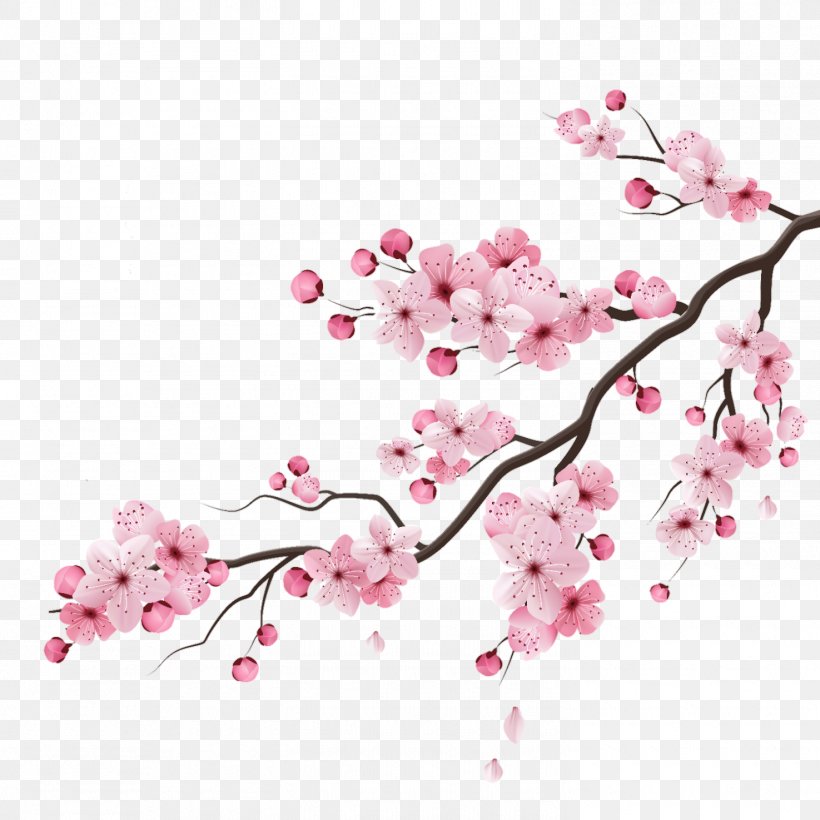Cherry Blossom Vector Graphics Drawing Illustration, PNG, 1475x1475px, Cherry Blossom, Blossom, Branch, Cherries, Drawing Download Free