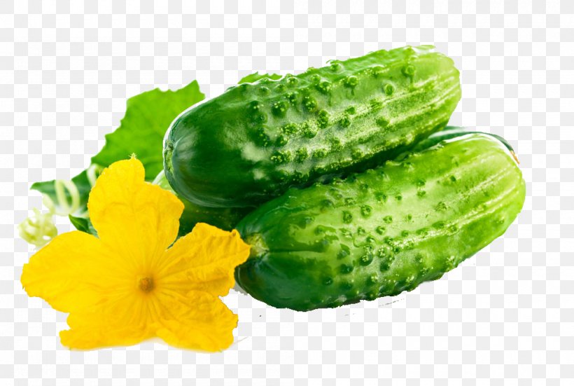 Cucumber Organic Food Vegetable Fruit Seed, PNG, 1000x672px, Cucumber, Cucumber Gourd And Melon Family, Cucumis, Diet, Egusi Download Free