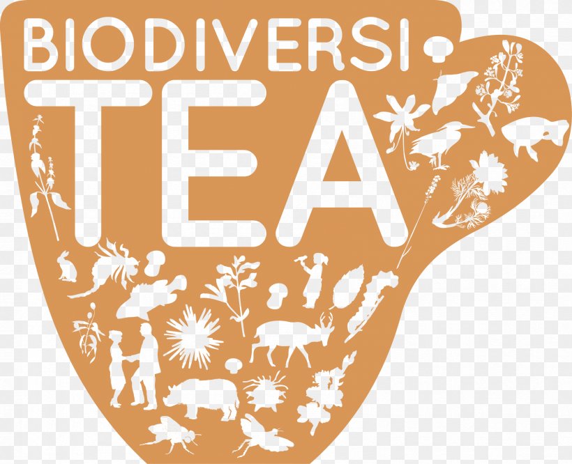Herbal Tea Tea Bag UTZ Certified Tea Caddy, PNG, 1688x1372px, Tea, Area, Biscuit, Brand, Film Download Free