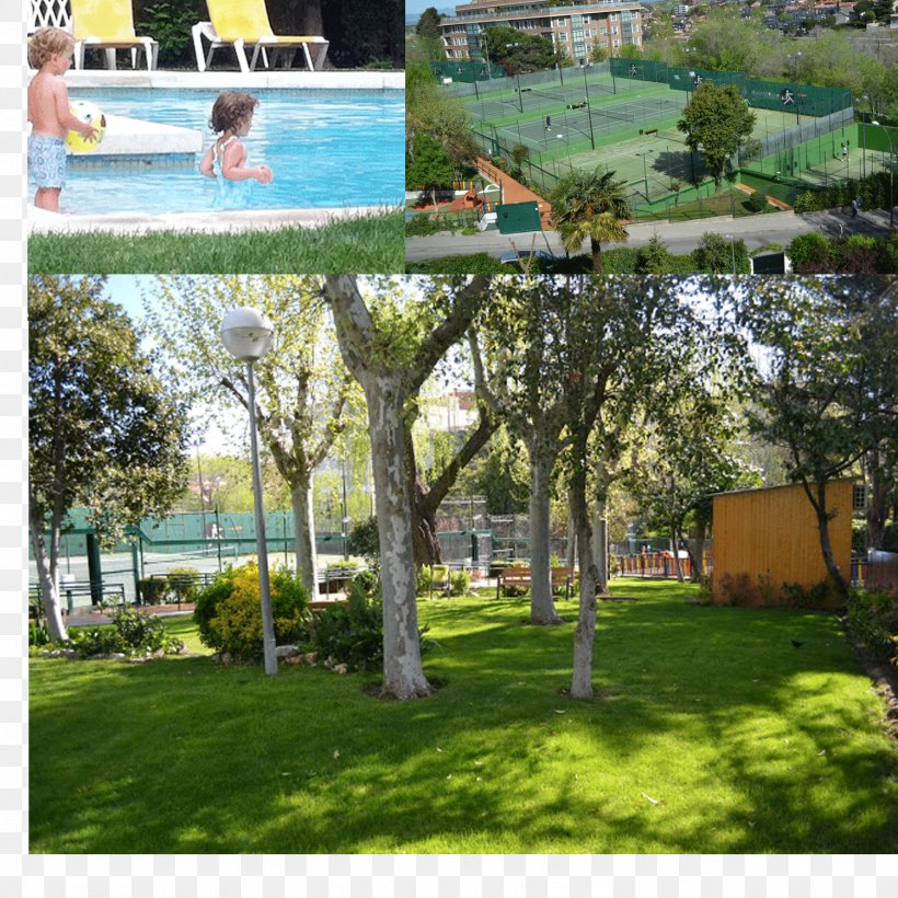 Backyard Tree Landscape Property Resort, PNG, 1500x1500px, Backyard, Garden, Grass, Home, House Download Free