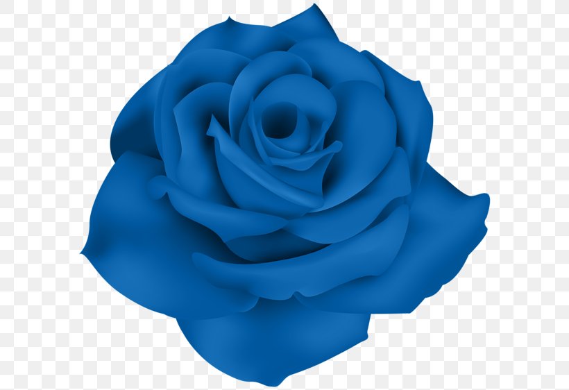Centifolia Roses Flower Garden Roses Blue Rose Clip Art, PNG, 600x562px, Centifolia Roses, Azure, Blue, Blue Rose, Cobalt Blue Download Free