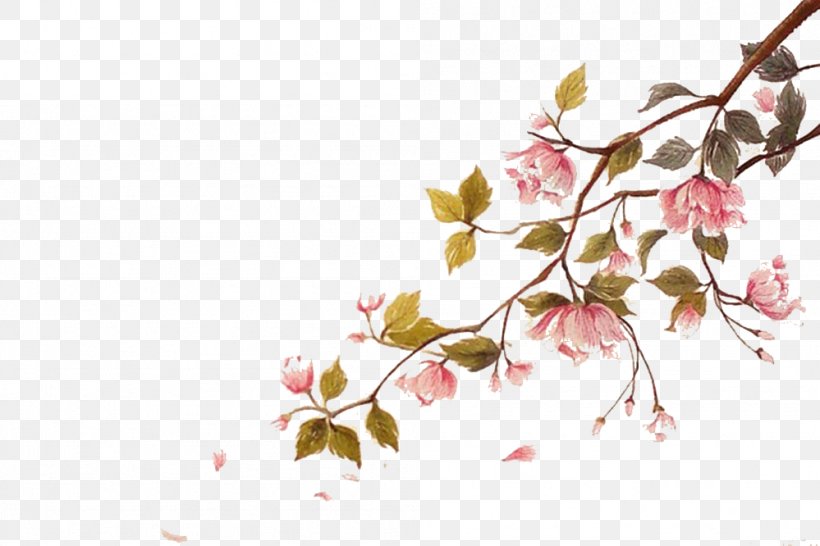 Cherry Blossom Watercolor Painting Ci, PNG, 999x666px, Blossom, Art, Branch, Cherry, Cherry Blossom Download Free