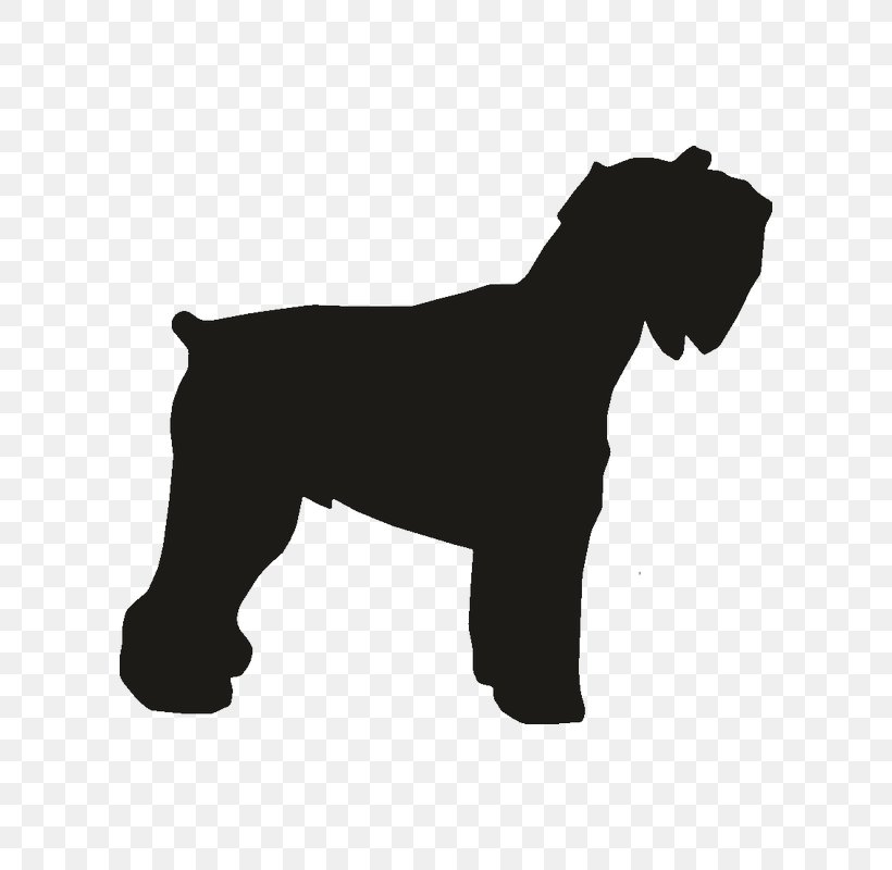 Miniature Schnauzer Dog Breed Rottweiler Dobermann Pit Bull, PNG, 800x800px, Miniature Schnauzer, Black, Black And White, Breed, Carnivoran Download Free
