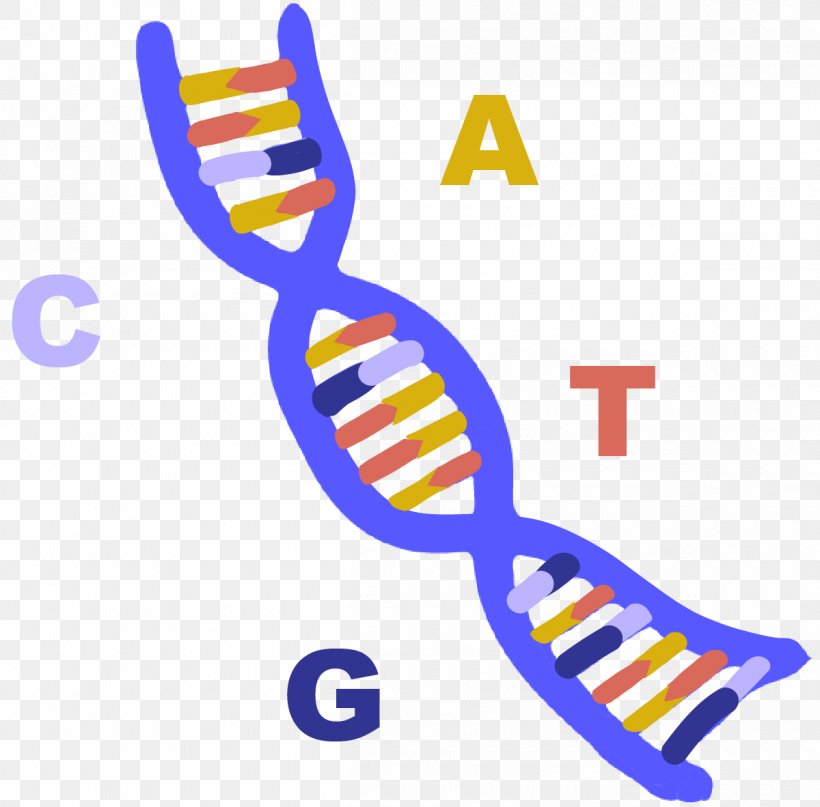 RNA Indian Institute Of Technology Delhi Nucleic Acid A-DNA, PNG, 1200x1182px, Rna, Acid, Adna, Area, Chemistry Download Free