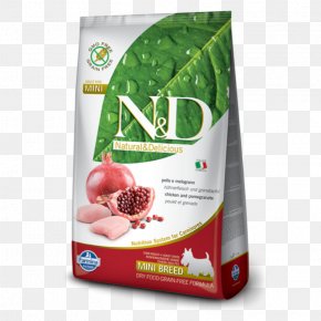 Dog - Dog Pet Food Puppy Cat Food PNG