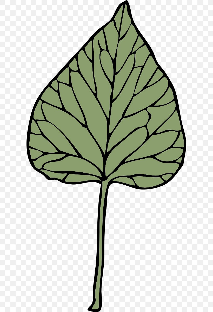 Download Clip Art, PNG, 615x1200px, Ivy, Black And White, Branch, Flag Of The Austral Islands, Flora Download Free