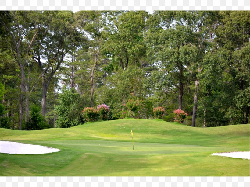 Golf Course Golf Clubs Lawn, PNG, 1024x768px, Golf, Golf Club, Golf Clubs, Golf Course, Grass Download Free