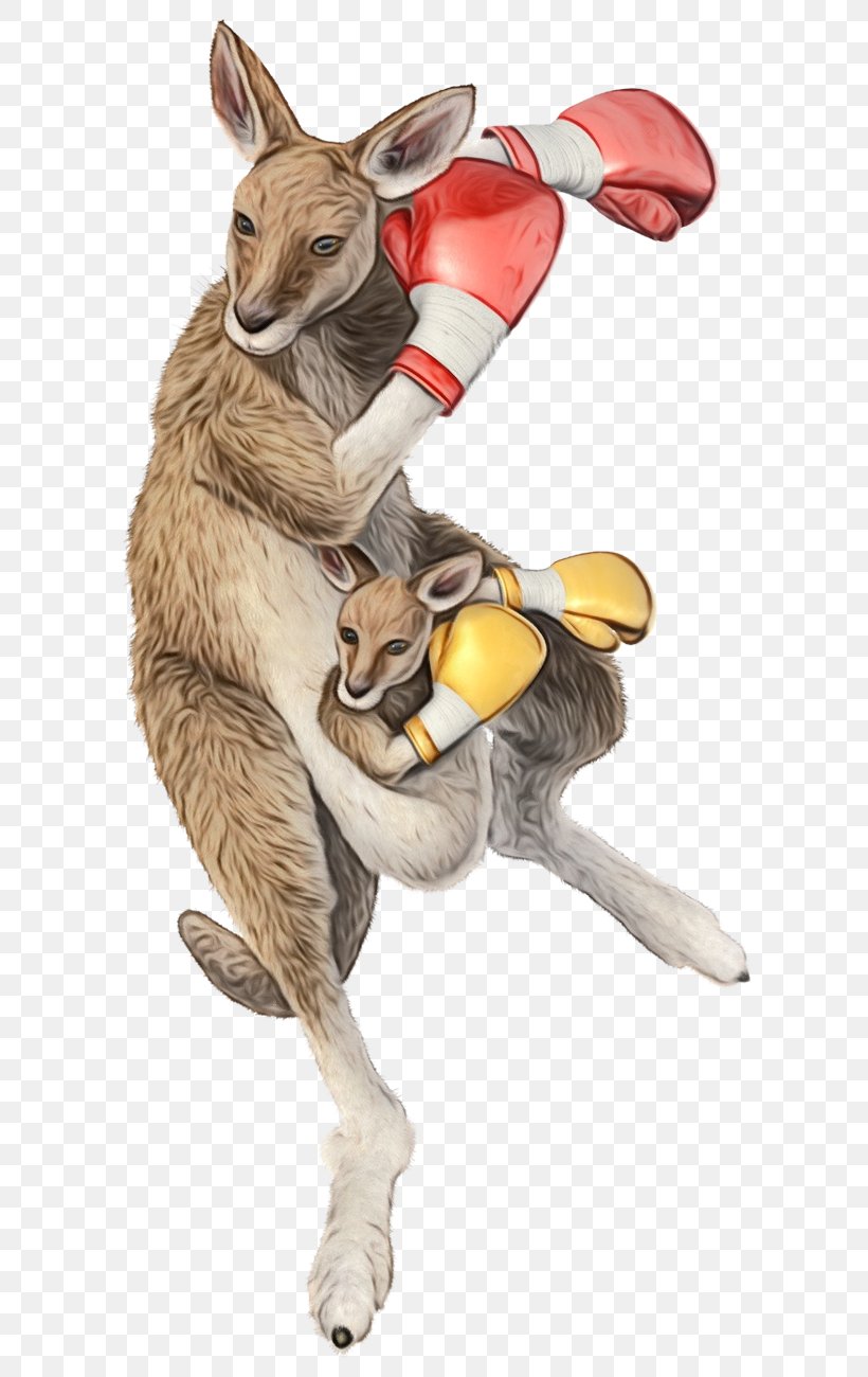 Kangaroo Blog Rabbit BAND Information, PNG, 706x1300px, Kangaroo, Animation, Band, Blog, Costume Download Free