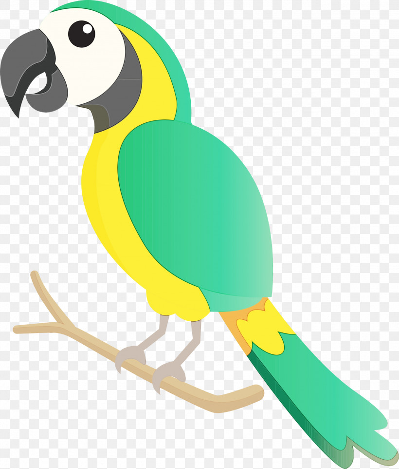 Macaw Parrots Beak, PNG, 2557x3000px, Bird Cartoon, Beak, Cute Bird, Macaw, Paint Download Free