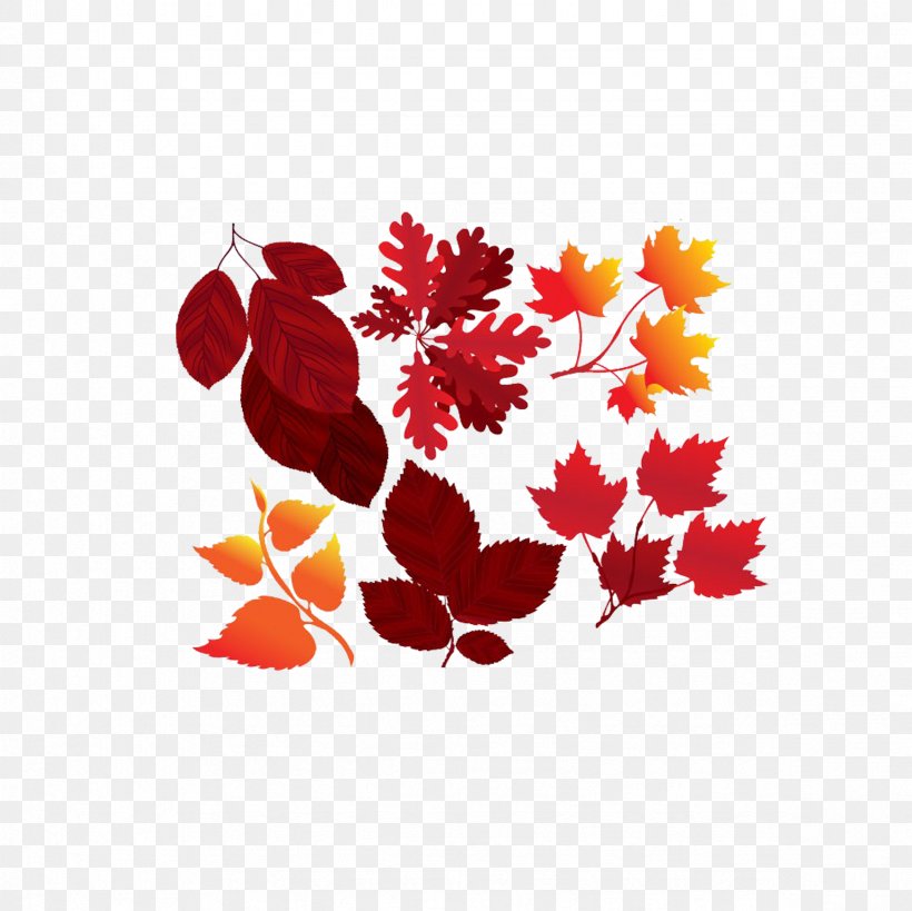 Maple Leaf Red Yellow Orange, PNG, 2362x2362px, Leaf, Autumn, Floral Design, Flower, Flowering Plant Download Free