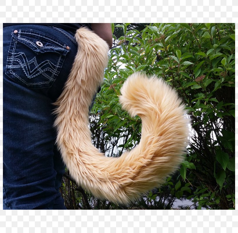 Tail Big Cat Felidae Fur, PNG, 800x800px, Tail, Big Cat, Cat, Cattail, Cheshire Cat Download Free