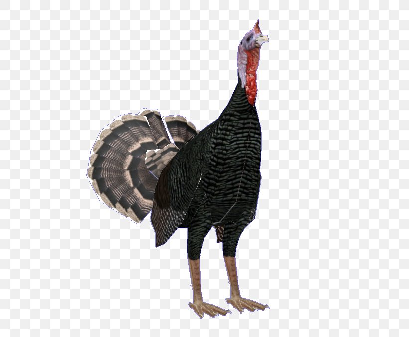 Turkey Cartoon, PNG, 639x676px, Wild Turkey, Beak, Bird, Chicken, Domestic Turkey Download Free
