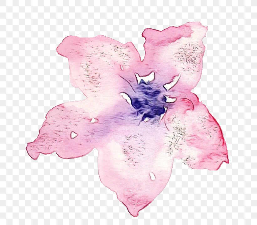 Watercolor Pink Flowers, PNG, 740x720px, Moth Orchids, Cattleya, Cut Flowers, Flower, Herbaceous Plant Download Free