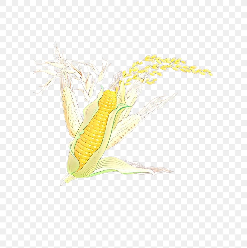 Corn On The Cob Yellow Sweet Corn Vegetarian Food Corn, PNG, 600x825px, Cartoon, Corn, Corn On The Cob, Plant, Sweet Corn Download Free