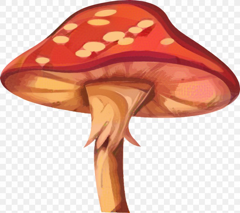 Mushroom Cartoon, PNG, 2999x2666px, Hat, Agaric, Fungus, Mushroom, Orange Download Free